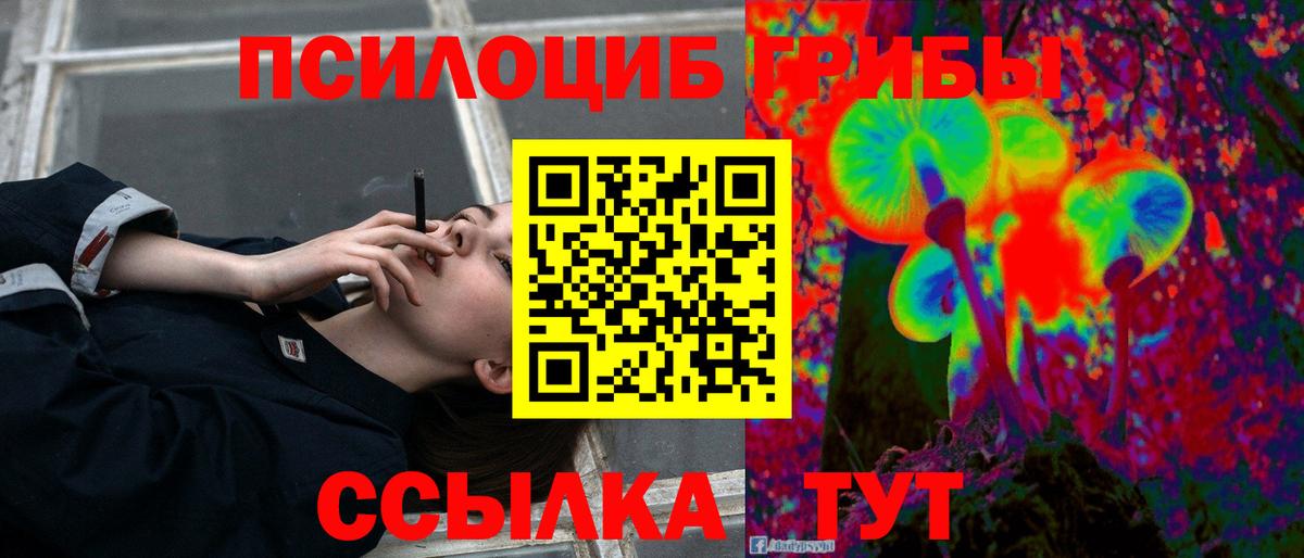купить   Вход с VPN  Пугачёв  Галлюциногенные грибы GOLDEN TEACHER 