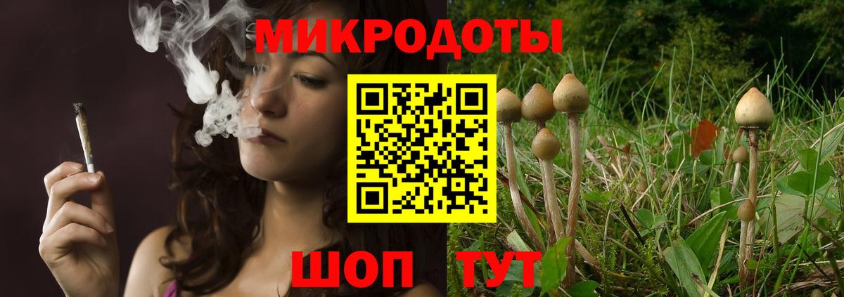 Псилоцибиновые грибы мицелий Пугачёв
