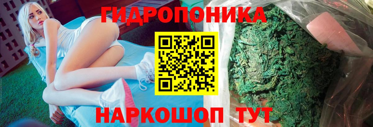 Каннабис планчик  Канабис OG Kush  Вход с VPN  Пугачёв  Конопля ГИДРОПОН 